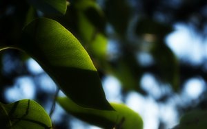 做代码托管一定要想清楚的几件事